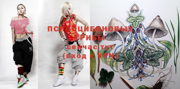 прущий лед Арсеньев