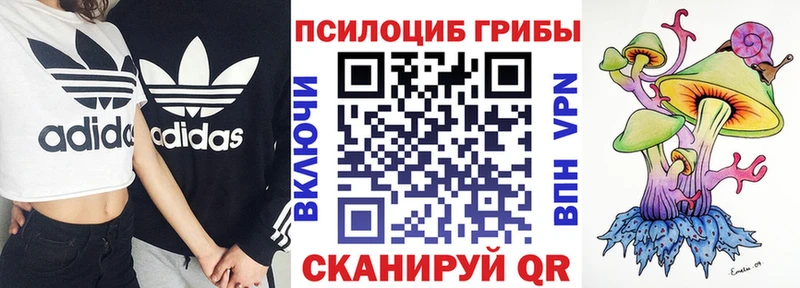 Псилоцибиновые грибы Psilocybine cubensis  kraken вход  Сосенский 